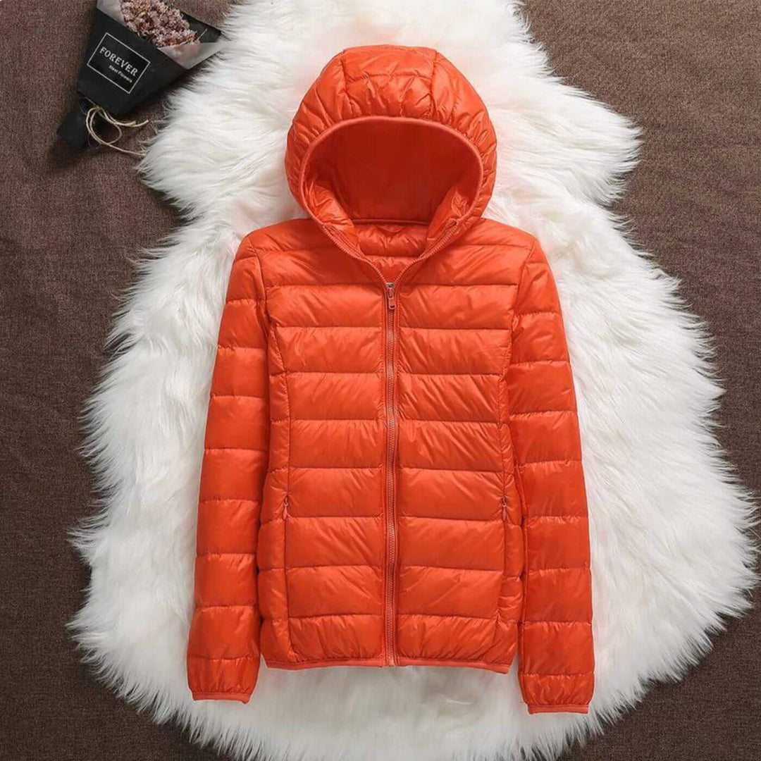 Aurora - Waterproof and Windproof Jacket