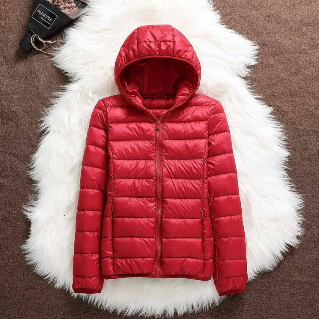 Aurora - Waterproof and Windproof Jacket